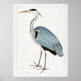 Póster Garza gris india (1780-1782) de Ram Das