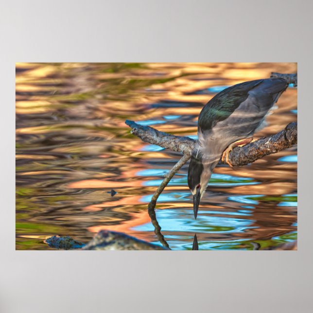 Póster Garza pescando junto al lago (Frente)