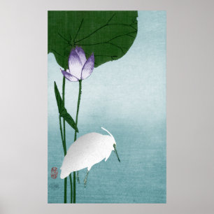 Póster Garza y loto blancos (shirasagi del ni de Hasu)