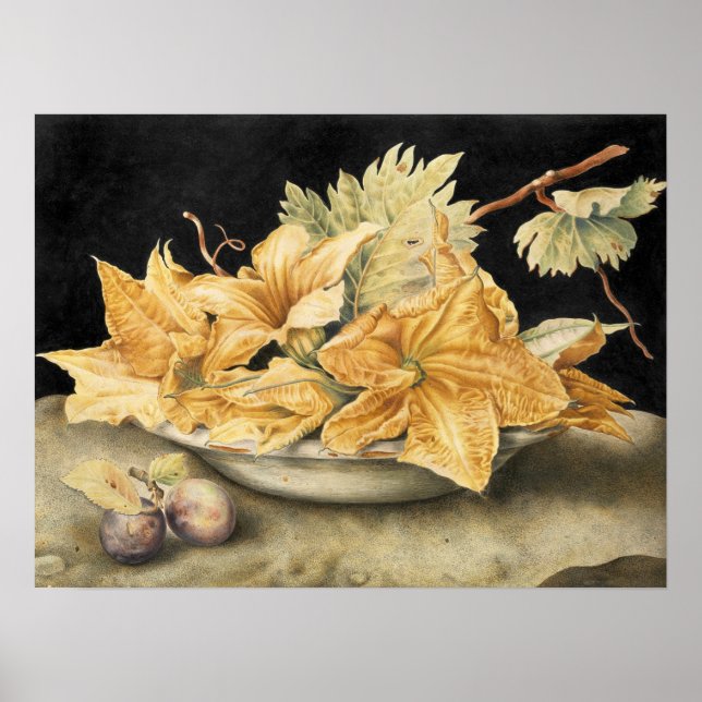 Póster Garzoni - Bodegón con flores de calabaza y vid (Frente)