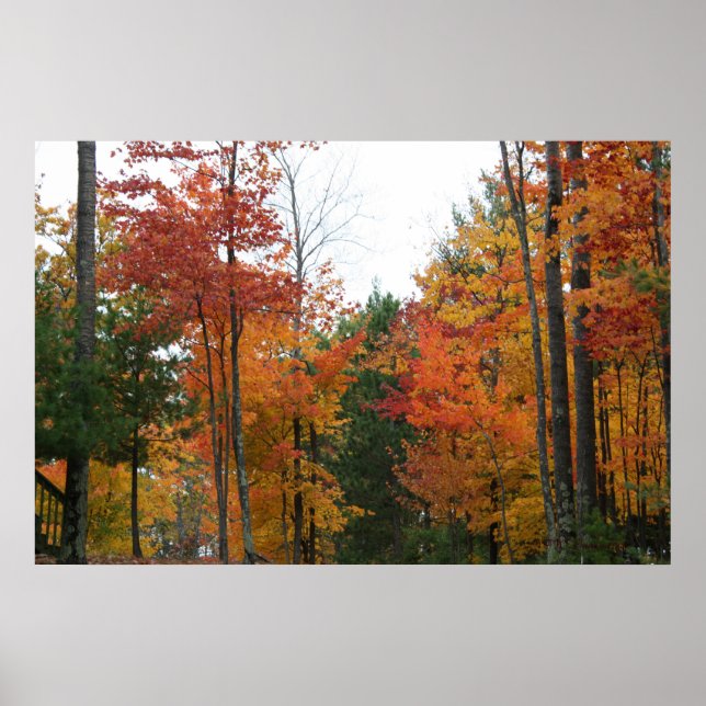 Póster Gathering of the Standing Ones (Frente)