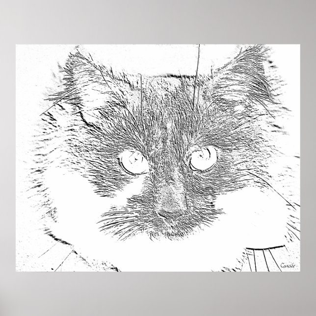 Póster gatito (Frente)