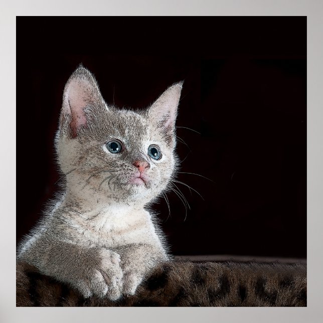 Póster Gatito (Frente)