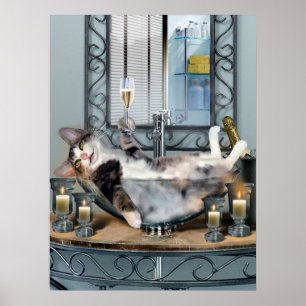 Póster Gatito achispado del poster divertido del mascota