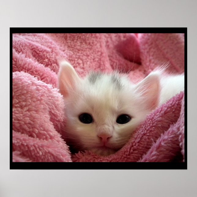 Póster Gatito adorable (Frente)