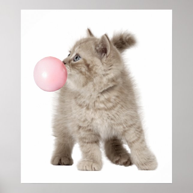 Póster Gatito Adorable Burbujas de Chicle Guardería Niño (Frente)