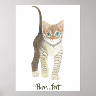 Póster Gatito Atigrado Blanco