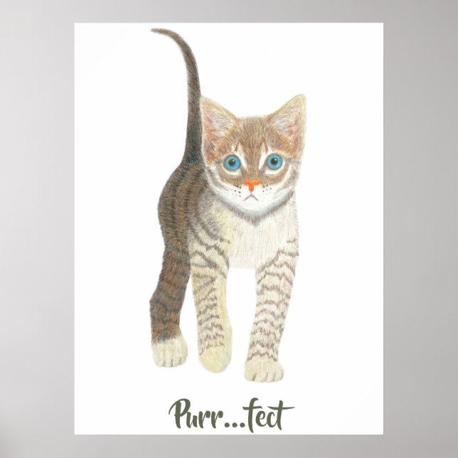 Póster Gatito Atigrado Blanco (Frente)