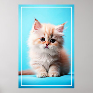 Póster Gatito Blanco Adorable Potrait-54971