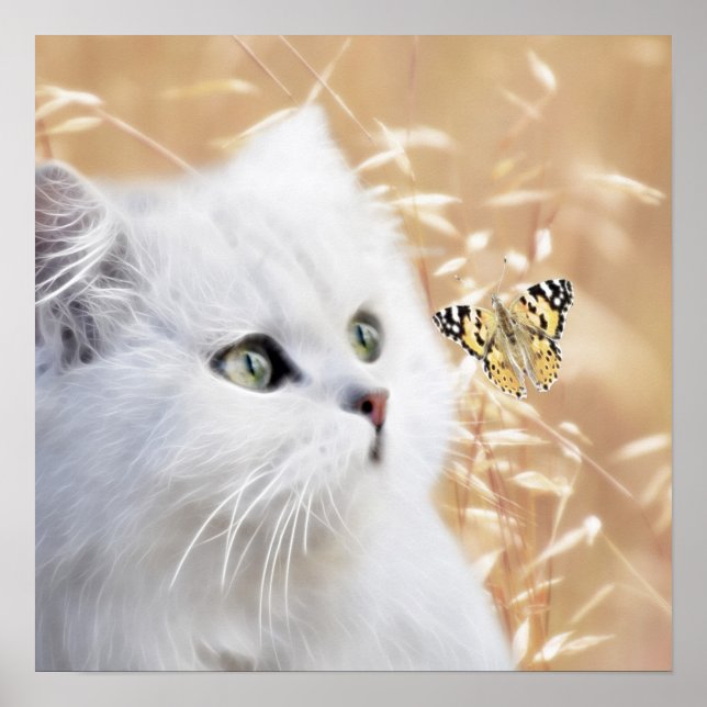 Póster Gatito blanco y mariposa (Frente)
