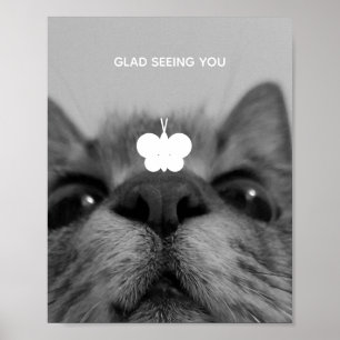 Póster Gatito blanco y negro de 17 años