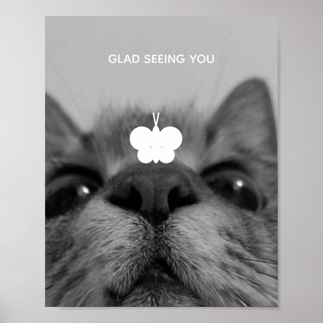 Póster Gatito blanco y negro de 17 años (Frente)