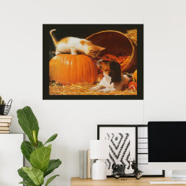 Póster Gatito, calabaza y estampado de cachorro