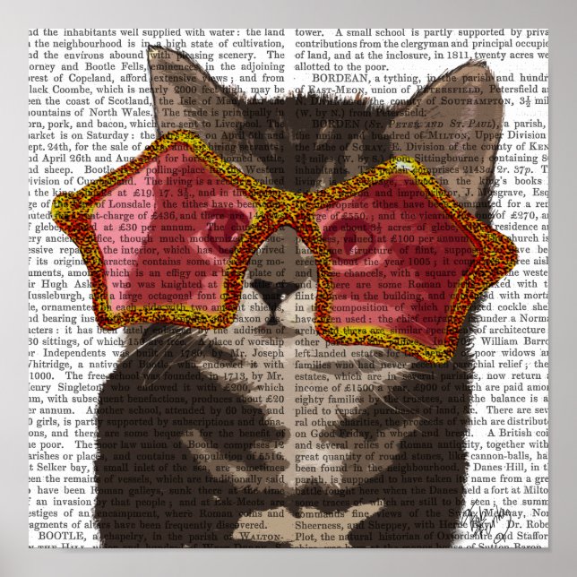 Póster Gatito con gafas de sol de estrella (Frente)