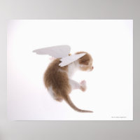 Gatito con las alas de ángel fijadas hacia atrás, 