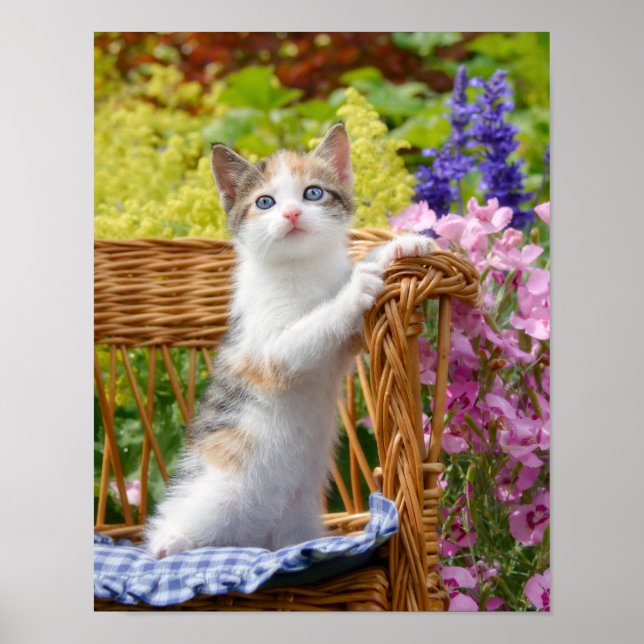 Póster Gatito de gato con náuseas en un jardín florido - (Frente)