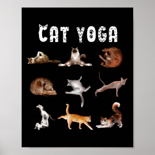 Póster Gatito divertido amante de los gatos poses de yoga