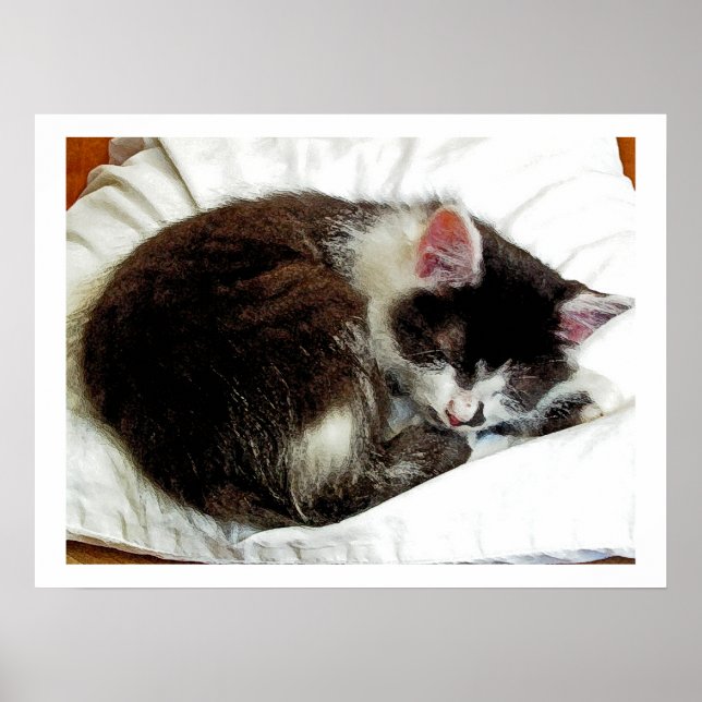 Póster Gatito dormido en White Comforter (Frente)