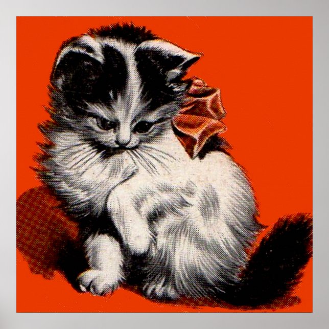 Póster gatito dulce (Frente)