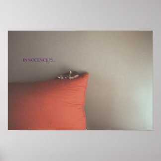 Póster Gatito En Paz