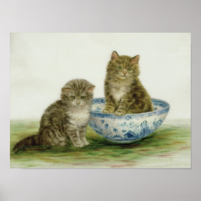 Póster Gatito en un tazón azul de China (Frente)