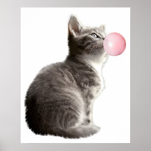 Póster Gatito Gris Adorable Goma de Burbujas Cuarto de Ni