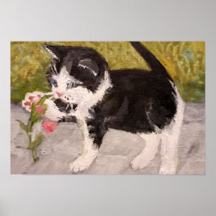 Póster Gatito jugando con flor rosa