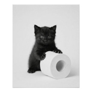 Póster Gatito negro bebé protegiendo rollo de papel higié