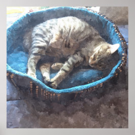 Póster Gatito Toma una Siesta, Gato Atigrado Durmiendo en
