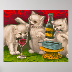 Póster Gatitos bebiendo y comiendo pescado de sardina