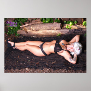 Póster Gatitos de 36" x 24" por el registro