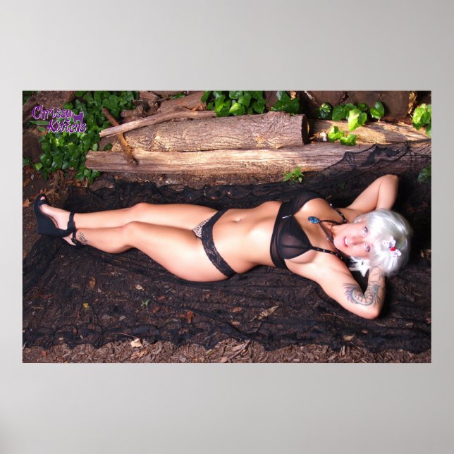 Póster Gatitos de 36" x 24" por el registro (Frente)