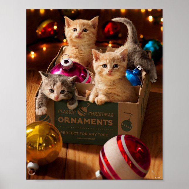 Póster Gatitos en caja de ornamentos (Frente)