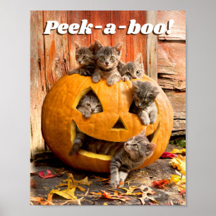 Póster Gatitos en Jack-o-Lantern