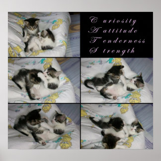 Póster Gatitos en juego