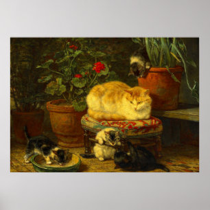 Póster Gatitos en juego