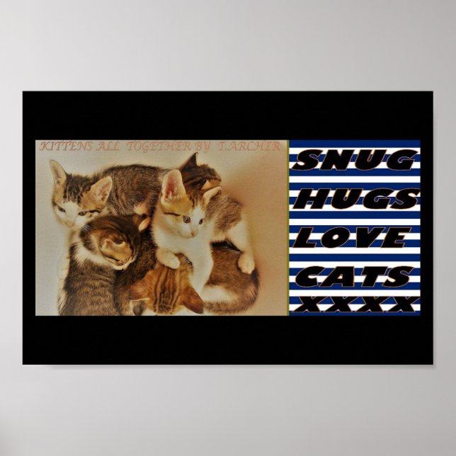 Póster Gatitos en reposición de la imagen original (Frente)