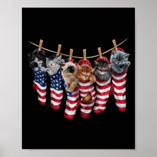 Póster Gatitos Patrióticos Con Calcetines De La Bandera A