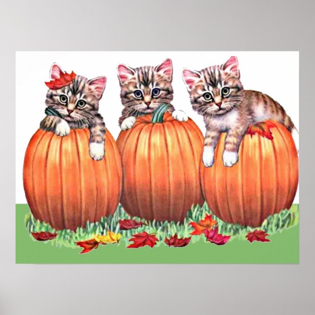 Póster Gatitos sobre estampado de calabazas (Frente)