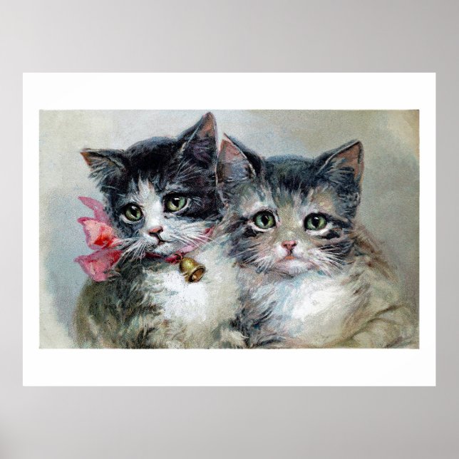 Póster Gatitos suaves y cortos, gatitos adorables, (Frente)