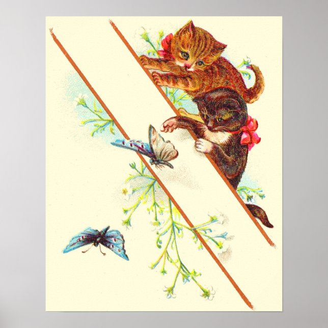 Póster gatitos y mariposas trepadores (Frente)