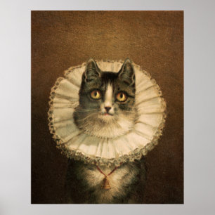 Póster Gato