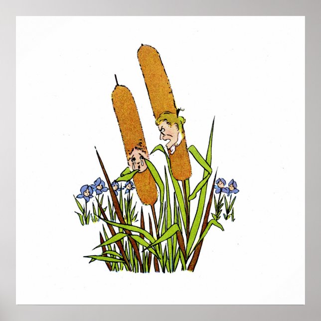 Póster Gato (Frente)