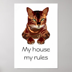 Póster Gato