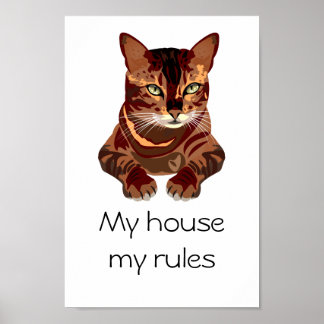 Póster Gato