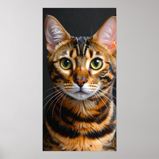 Póster gato (Frente)