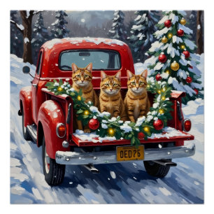 Póster Gato Abisinio Camión Rojo Navidad Fiesta