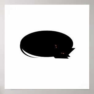 Póster Gato acogedor