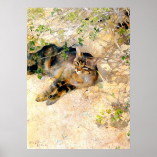 Póster Gato al sol, Bruno Liljefors
