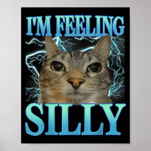 Póster Gato Amante de Frases Divertidas Me Siento Tonto M